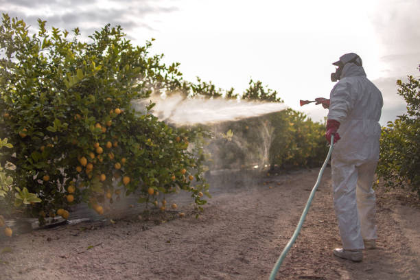 Best Pest Inspection Near Me  in Medicine Lodge, KS