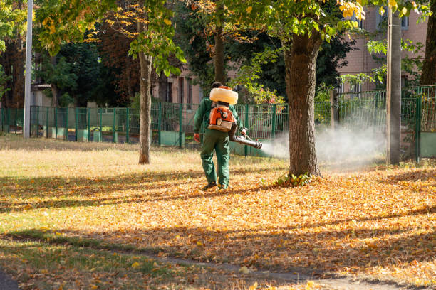 Professional Pest Control in Medicine Lodge, KS